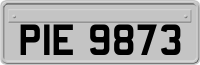 PIE9873
