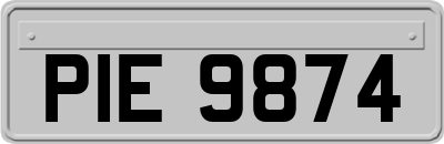 PIE9874