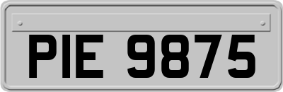 PIE9875
