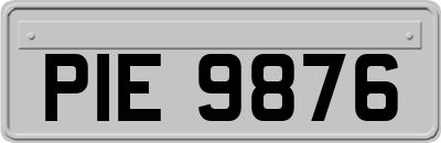 PIE9876