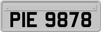PIE9878