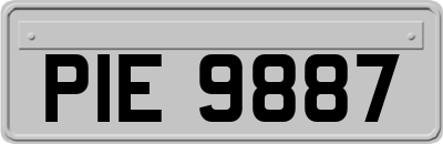 PIE9887