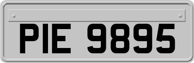 PIE9895