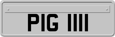 PIG1111