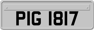 PIG1817