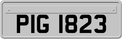PIG1823