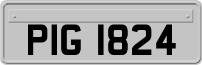 PIG1824