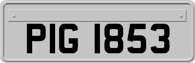 PIG1853