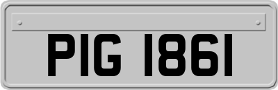 PIG1861