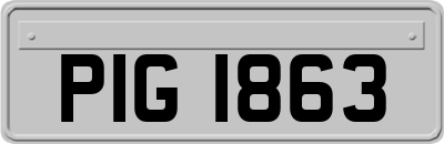 PIG1863
