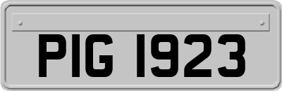 PIG1923