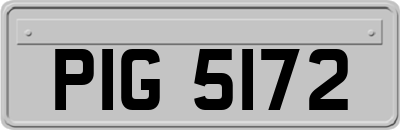 PIG5172