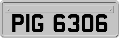 PIG6306