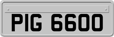 PIG6600