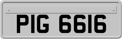 PIG6616