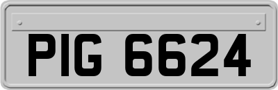 PIG6624