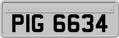 PIG6634