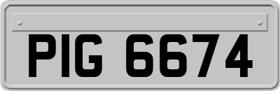 PIG6674