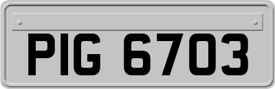 PIG6703