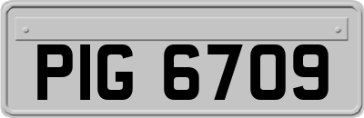 PIG6709