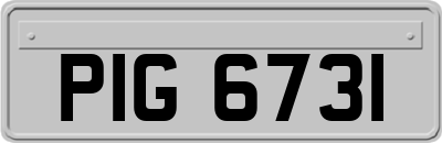 PIG6731