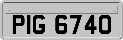 PIG6740