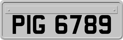 PIG6789