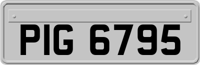 PIG6795