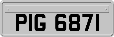 PIG6871