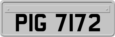 PIG7172