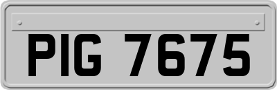 PIG7675