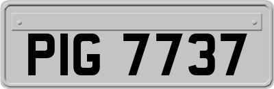 PIG7737