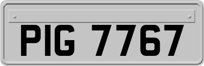 PIG7767