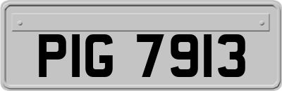 PIG7913