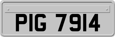 PIG7914