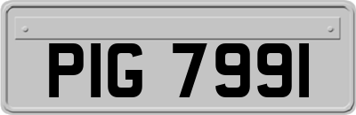 PIG7991