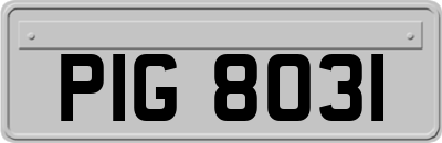 PIG8031