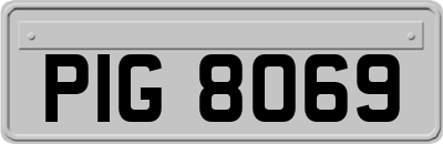 PIG8069