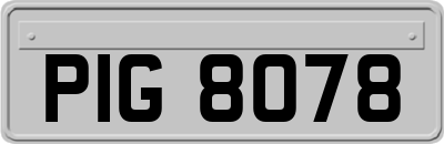 PIG8078