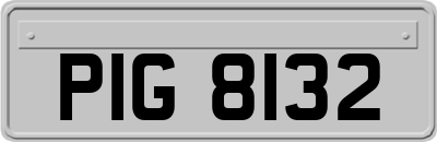 PIG8132