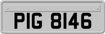 PIG8146