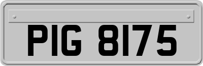 PIG8175