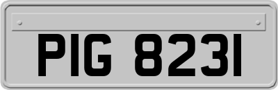 PIG8231