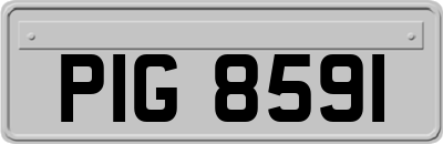 PIG8591