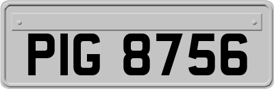 PIG8756