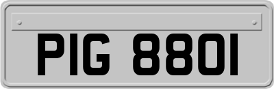 PIG8801