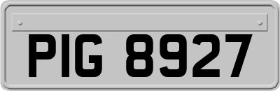 PIG8927