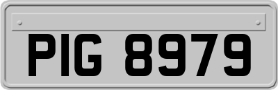 PIG8979