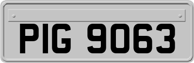 PIG9063