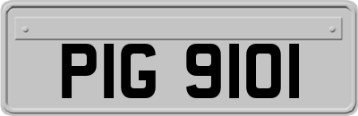 PIG9101